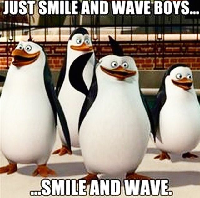 The penguins from Madagascar captioned 'Just smile and wave boys... smile and wave.'